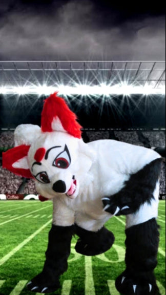 Donate to MN Wildcats Today!!!